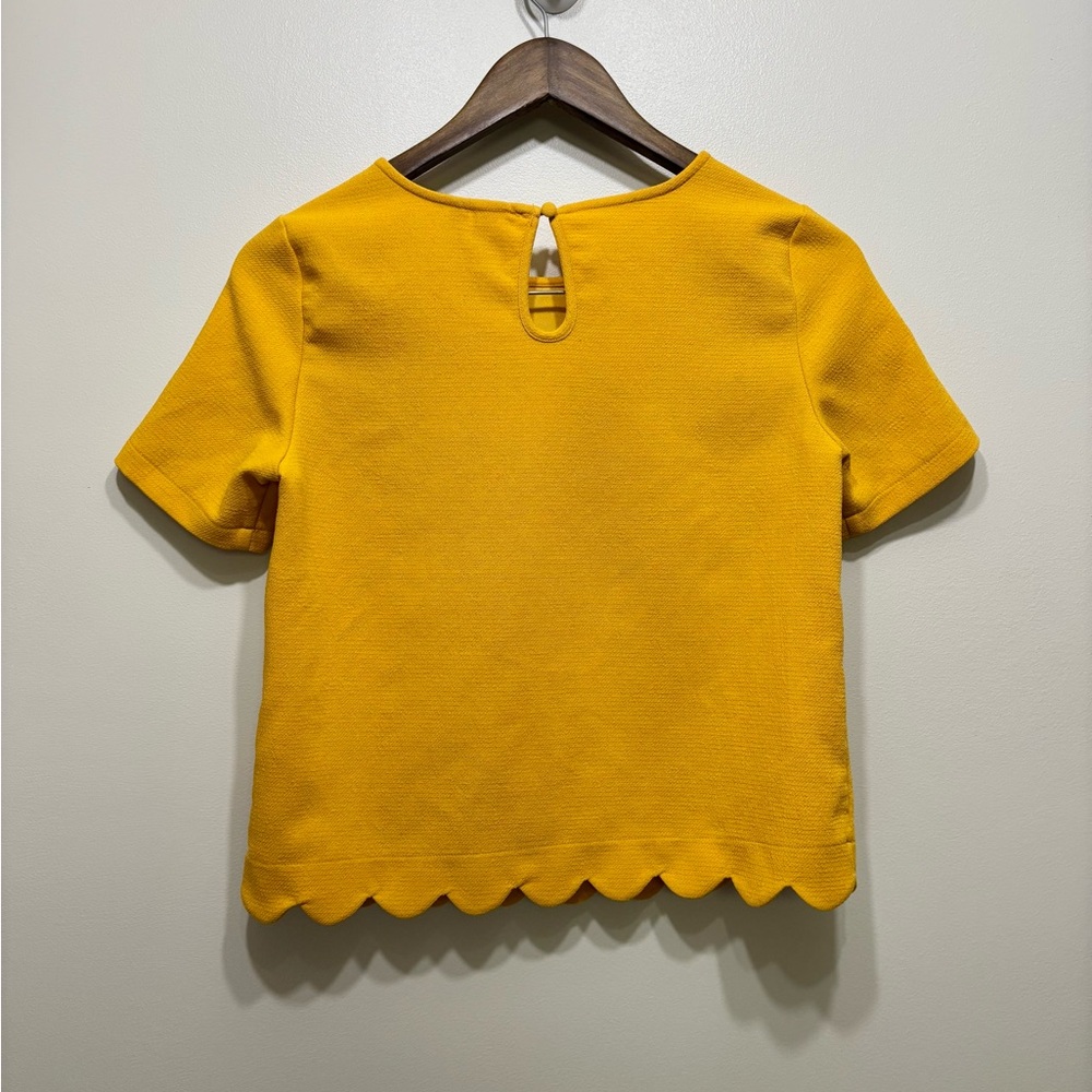 ✨$8 CLEAR-OUT✨ Twik Simons Scallop Hem Short Sleeve Crop Top Shirt Yellow - Picture 4 of 7